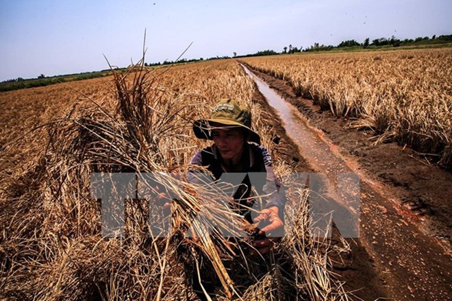Forum de dialogue de haut rang sur le changement climatique ảnh 2 Forum de dialogue de haut rang sur le changement climatique ảnh 2