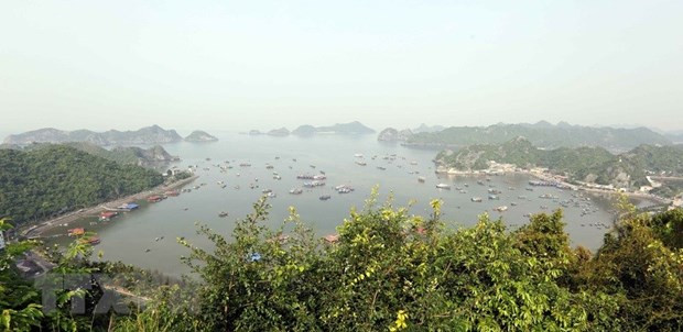 Le Vietnam s’efforce de préserver ses réserves de biosphère ảnh 1 Le Vietnam s’efforce de préserver ses réserves de biosphère ảnh 1