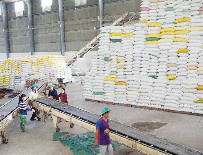 Le Vietnam exporte plus de 5,7 millions de tonnes de riz en onze mois ảnh 1 Le Vietnam exporte plus de 5,7 millions de tonnes de riz en onze mois ảnh 1