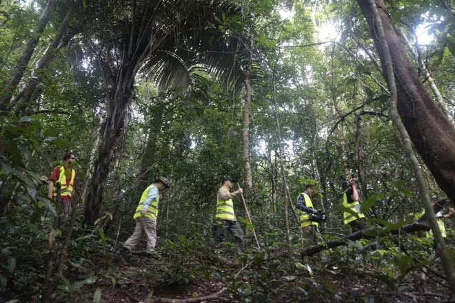 Cambodge: Quelque 25 millions de dollars générés par l'écotourisme au cours des neuf premiers mois ảnh 1 Cambodge: Quelque 25 millions de dollars générés par l'écotourisme au cours des neuf premiers mois ảnh 1