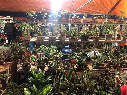 Venir au marché Viêng pour solliciter le bonheur ảnh 1 Venir au marché Viêng pour solliciter le bonheur ảnh 1