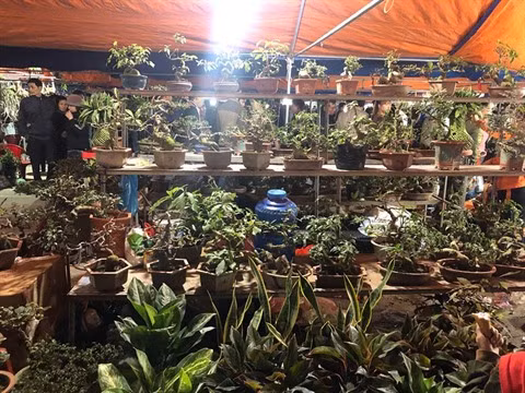 Venir au marché Viêng pour solliciter le bonheur ảnh 1