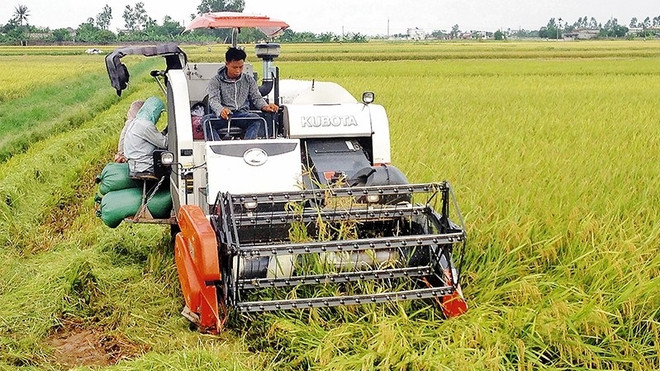 L’agriculture vietnamienne sur le chemin de son intégration ảnh 1 L’agriculture vietnamienne sur le chemin de son intégration ảnh 1