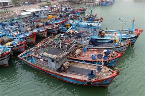 Pêche INN : nécessité des mesures plus forts ảnh 1 Pêche INN : nécessité des mesures plus forts ảnh 1