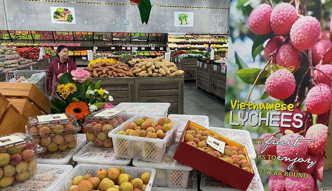 Les exportations de produits agricoles vers l'Australie en augmentation ảnh 1 Les exportations de produits agricoles vers l'Australie en augmentation ảnh 1