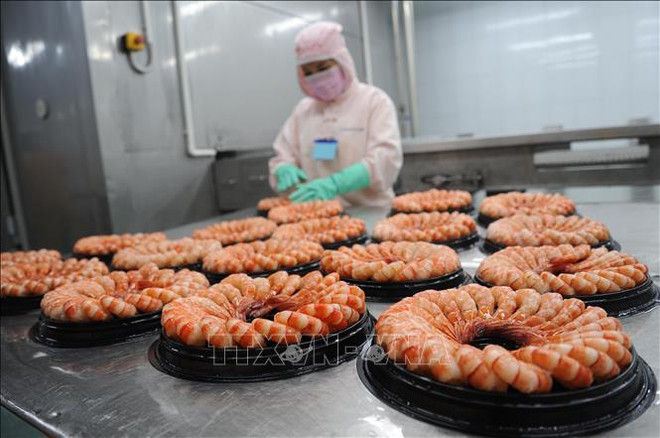 L'industrie de transformation de crevettes s'efforce de maintenir l’objectif des exportations ảnh 2 L'industrie de transformation de crevettes s'efforce de maintenir l’objectif des exportations ảnh 2