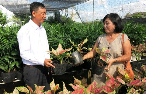 Au Sud, Dông Tháp sort les rames pour un tourisme responsable ảnh 2 Au Sud, Dông Tháp sort les rames pour un tourisme responsable ảnh 2