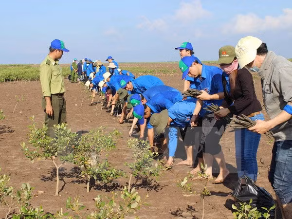 Quang Nam : bilan des modèles d'adaptation aux changements climatiques ảnh 1
