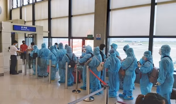 Rapatriement de plus de 240 citoyens vietnamiens bloqués en Malaisie ảnh 1 Rapatriement de plus de 240 citoyens vietnamiens bloqués en Malaisie ảnh 1