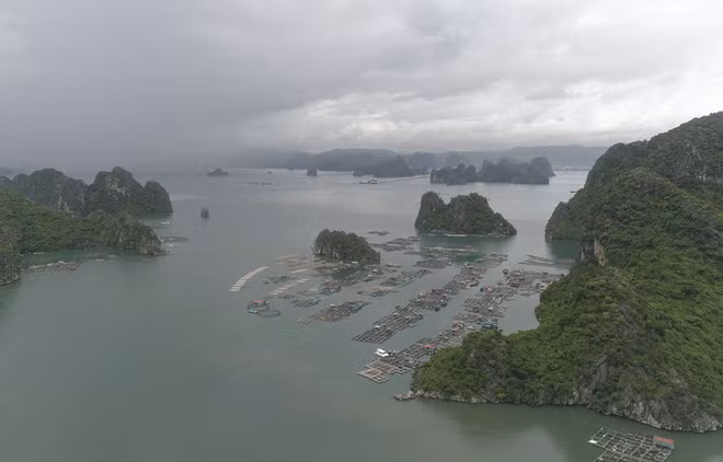 La beauté sauvage de la baie de Bai Tu Long ảnh 1