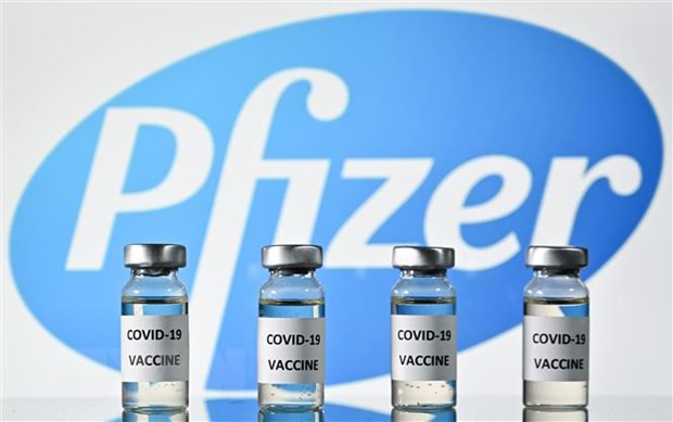 COVID-19 : Singapour a commencé la vaccination des personnels de santé ảnh 1 COVID-19 : Singapour a commencé la vaccination des personnels de santé ảnh 1