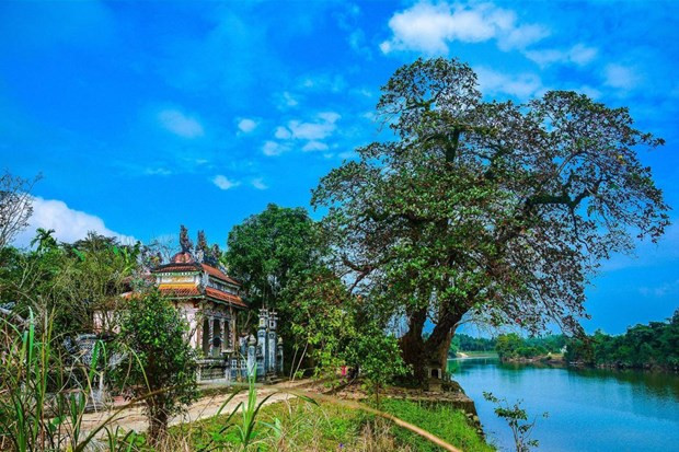 Découvrir la beauté de l’ancien village de Phuoc Tich ảnh 1 Découvrir la beauté de l’ancien village de Phuoc Tich ảnh 1