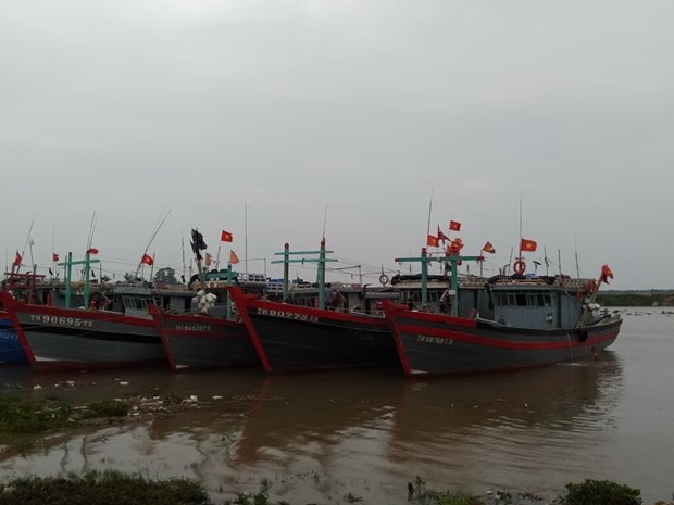 La tempête Nangka a touché le golfe du Bac Bo le 14 octobre ảnh 1 La tempête Nangka a touché le golfe du Bac Bo le 14 octobre ảnh 1
