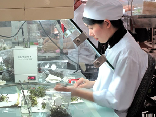 Ressources génétiques : colloque sur le Protocole de Nagoya ảnh 1 Ressources génétiques : colloque sur le Protocole de Nagoya ảnh 1