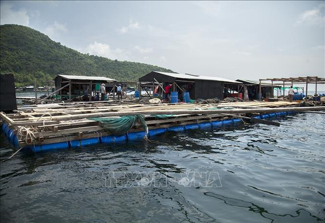 Développement synchrone des infrastructures pour l'aquaculture marine ảnh 1