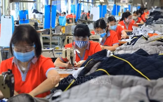 Le marché de travail connaît des signes de reprise au premier trimestre ảnh 1