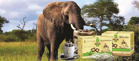 Café d’éléphant du Tây Nguyên, un label de poids ảnh 1 Café d’éléphant du Tây Nguyên, un label de poids ảnh 1
