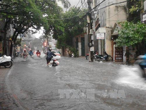 Le Japon aide Hanoi à améliorer la capacité de prévention des inondations ảnh 1 Le Japon aide Hanoi à améliorer la capacité de prévention des inondations ảnh 1
