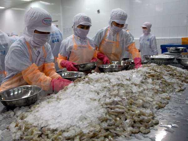 L'exportation de crevettes connaît une croissance de près de 16% au premier semestre ảnh 1 L'exportation de crevettes connaît une croissance de près de 16% au premier semestre ảnh 1