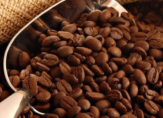 Le Vietnam réalise un excédent commercial de 1,46 milliard de dollars avec l’Allemagne ảnh 1