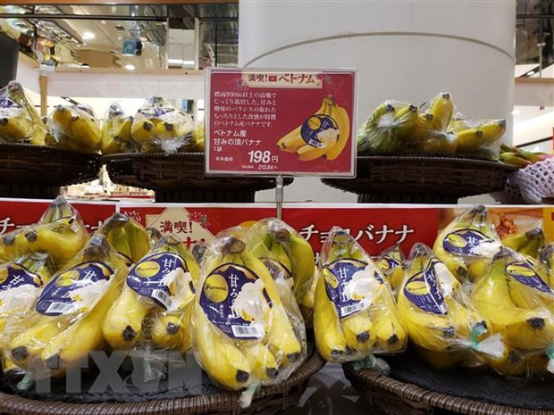 Le Vietnam participe à Foodex Japan 2022 ảnh 1 Le Vietnam participe à Foodex Japan 2022 ảnh 1