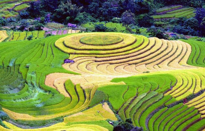 Le Vietnam, destination impressionnante au Salon international du tourisme voyages à Montréal ảnh 1 Le Vietnam, destination impressionnante au Salon international du tourisme voyages à Montréal ảnh 1