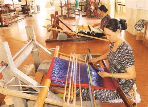 Les coopératives, un acteur important de l’économie nationale ảnh 2