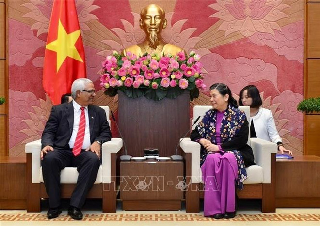 La vice-présidente permanente de l’AN Tong Thi Phong reçoit le ministre cubain de la Justice ảnh 1 La vice-présidente permanente de l’AN Tong Thi Phong reçoit le ministre cubain de la Justice ảnh 1