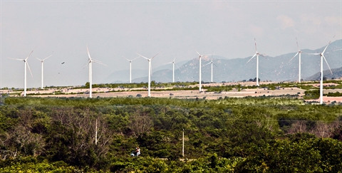 Efforts pour la protection de l'environnement ảnh 2  Efforts pour la protection de l'environnement ảnh 2