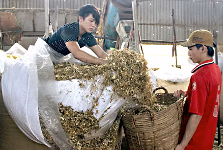 L'excédent commercial de Dông Nai atteindra plus de 1,5 milliard de dollars ảnh 1