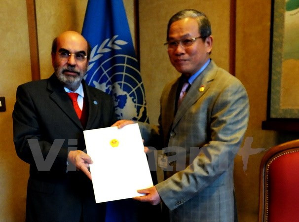 FAO : le Vietnam a des potentiels dans la coopération Sud-Sud ảnh 1 FAO : le Vietnam a des potentiels dans la coopération Sud-Sud ảnh 1