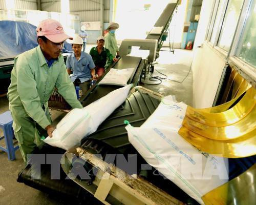 Labéliser le riz vietnamien ảnh 1 Labéliser le riz vietnamien ảnh 1