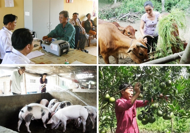 Les 10 événements marquants du secteur du travail, des invalides et des affaires sociales ảnh 1 Les 10 événements marquants du secteur du travail, des invalides et des affaires sociales ảnh 1