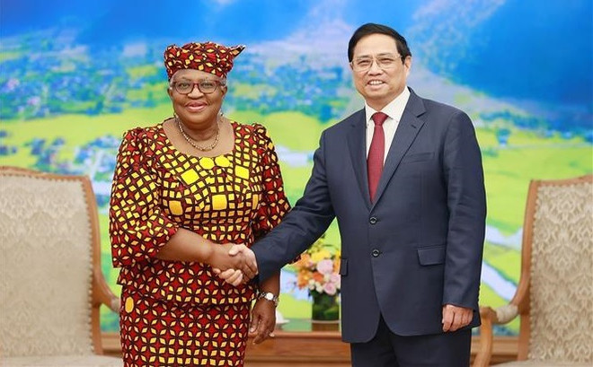 Le Premier ministre Pham Minh Chinh reçoit la directrice générale de l'OMC ảnh 1 Le Premier ministre Pham Minh Chinh reçoit la directrice générale de l'OMC ảnh 1