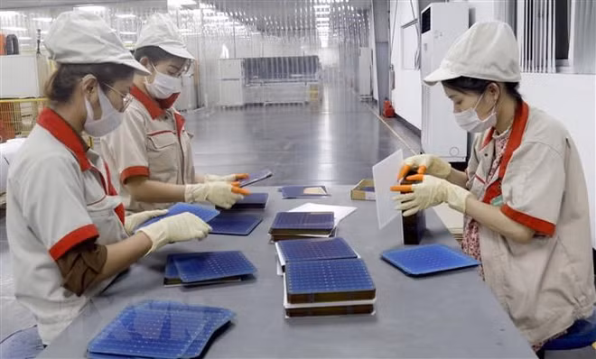Les États-Unis prolongent leur enquête sur l'évasion fiscale sur certains produits vietnamiens ảnh 1