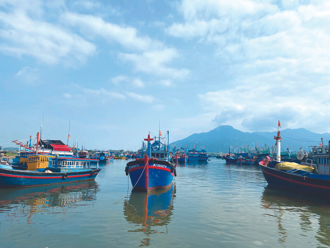 Forte détermination politique pour faire retirer le “carton jaune” ảnh 2 Forte détermination politique pour faire retirer le “carton jaune” ảnh 2