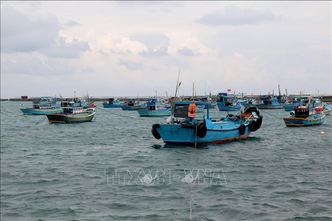 D’inlassables efforts de Binh Thuan pour mettre fin la pêche INN ảnh 1 D’inlassables efforts de Binh Thuan pour mettre fin la pêche INN ảnh 1