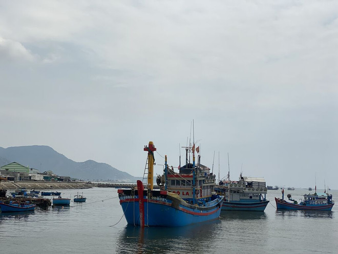 Forte détermination politique pour faire retirer le “carton jaune” ảnh 1 Forte détermination politique pour faire retirer le “carton jaune” ảnh 1