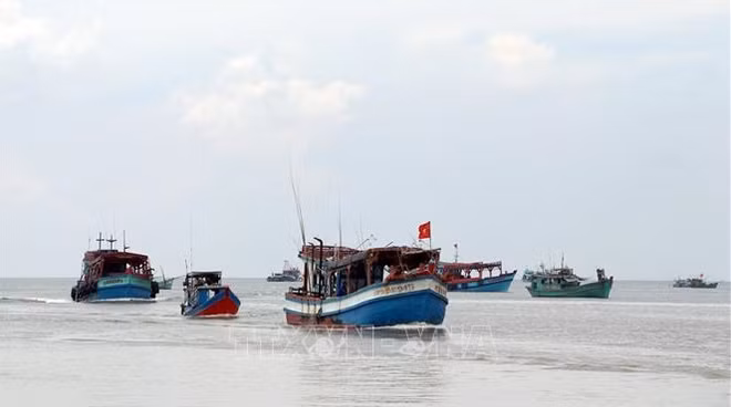 Ca Mau contribue aux efforts communs contre la pêche INN ảnh 1