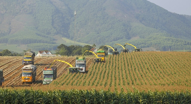 L'engagement du secteur privé est nécessaire pour promouvoir la croissance verte au Vietnam ảnh 1 L'engagement du secteur privé est nécessaire pour promouvoir la croissance verte au Vietnam ảnh 1