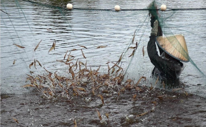 2050: Le Vietnam perdra jusqu'à 8% de son PIB à cause du changement climatique ảnh 1 2050: Le Vietnam perdra jusqu'à 8% de son PIB à cause du changement climatique ảnh 1