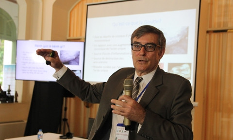 Vietnam - France: Coopération dans la recherche et le traitement de la goutte ảnh 1 Vietnam - France: Coopération dans la recherche et le traitement de la goutte ảnh 1