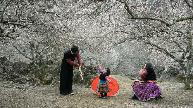 Développer le tourisme communautaire durable ảnh 1