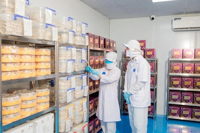 Opportunités de développement du secteur de nids de salanganes du Vietnam ảnh 2 Opportunités de développement du secteur de nids de salanganes du Vietnam ảnh 2
