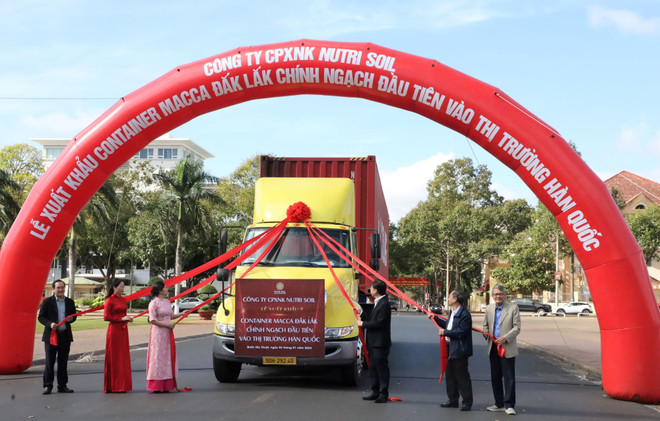 Dak Lak exporte son premier lot de noix de macadamia vers la République de Corée ảnh 1 Dak Lak exporte son premier lot de noix de macadamia vers la République de Corée ảnh 1