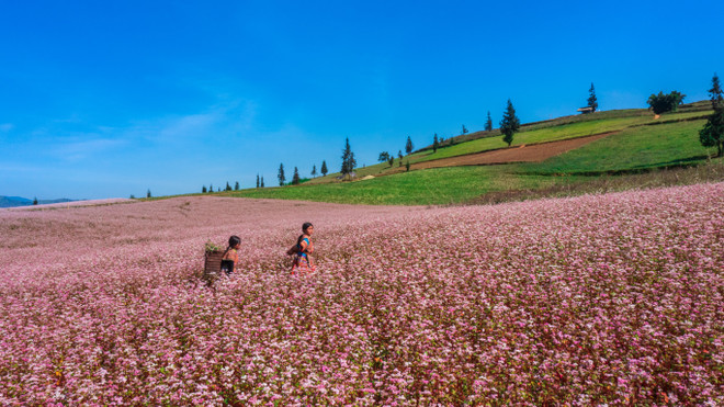 Hà Giang optimise ses ressources culturelles pour le développement du tourisme ảnh 1 Hà Giang optimise ses ressources culturelles pour le développement du tourisme ảnh 1