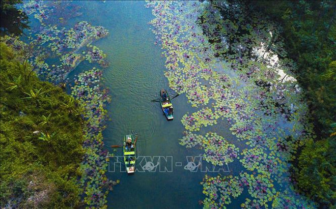 Le Vietnam, destination la plus sûre et la plus attractive d'Asie en 2024 ảnh 1 Le Vietnam, destination la plus sûre et la plus attractive d'Asie en 2024 ảnh 1