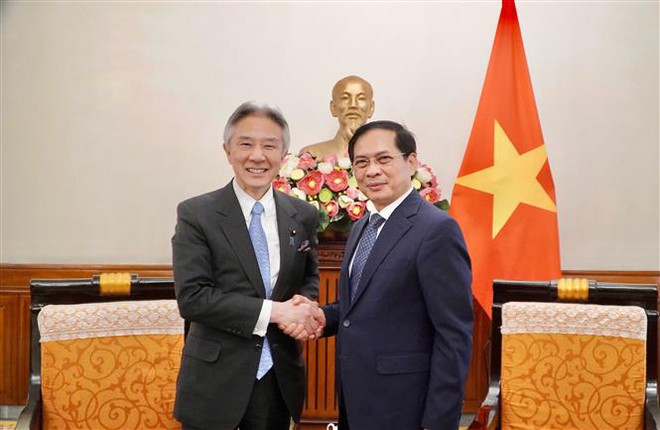 Le Vietnam et le Japon promeuvent leur coopération dans divers domaines ảnh 1 Le Vietnam et le Japon promeuvent leur coopération dans divers domaines ảnh 1