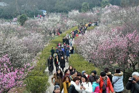 Les Vietnamiens et le plaisir de la consommation ảnh 2 Les Vietnamiens et le plaisir de la consommation ảnh 2