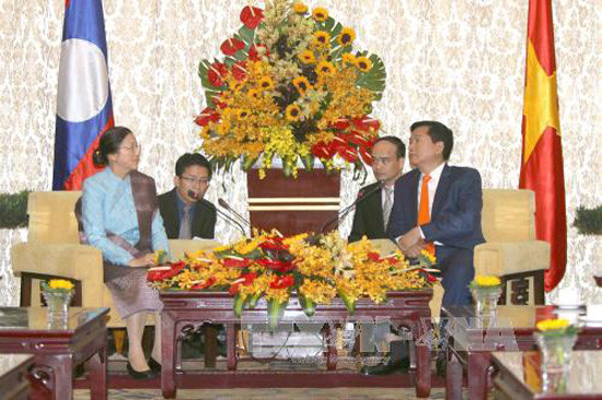 Ho Chi Minh-Ville souhaite intensifier la coopération avec les localités laotiennes ảnh 1 Ho Chi Minh-Ville souhaite intensifier la coopération avec les localités laotiennes ảnh 1